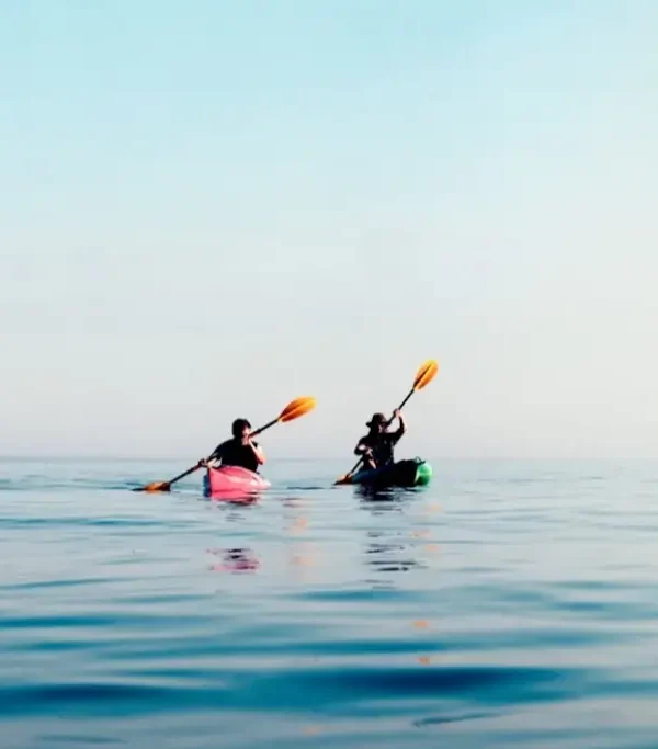 bf1a47f430b5cf86c7adf39745230b46bfc5ed8b